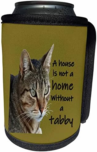 3 דרוז בית הוא לא בית ללא חתול טאבי - יכול לעטוף בקבוקים קיר יותר