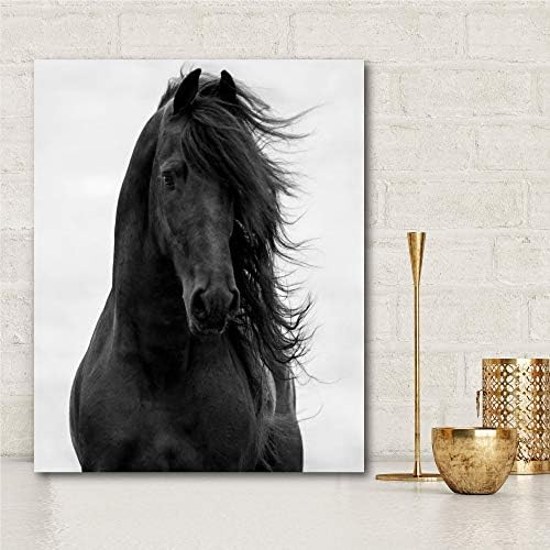 שוק קורטסייד מיין 16 איקס20 גלריה-עטופה בד קיר אמנות רכיבה, מרוץ סוסים, מלכותי, לבן, שחור, אפור, 16 איקס20, רב צבע