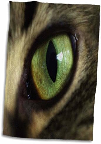 3 דרוז פלורן חתול - עין החתול - מגבות