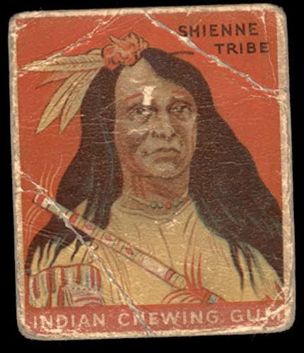 1933 Goudey Gudey Indian 1 Shienne שבט אותנטי