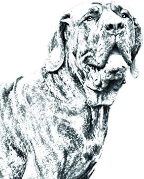פילה ברזיליירו, מצבה סגלגלה מאריחי קרמיקה עם תמונה של כלב